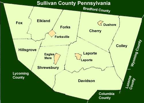 Sullivan County Townships